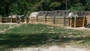 PICTURES/Petersburg Battlefield - Petersburg, VA/t_Confederate Battery Eight23.JPG